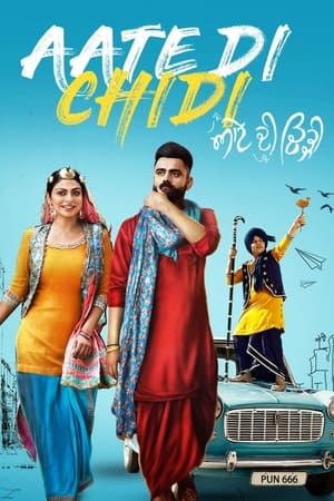 Aate di chidi (2018) Punjabi Movie - [400MB] HD Poster Download - Filmyzilla