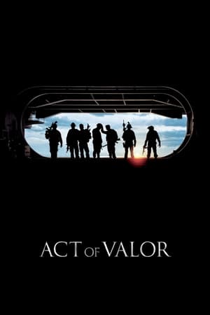 Act of Valor (2012) Hindi Dual Audio [1.1GB] HD Poster Download - Filmyzilla