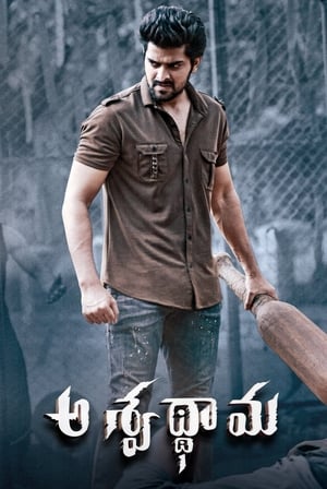 Aswathama 2020 (Hindi – Telugu) Dual Audio 340MB HD Poster Download - Filmyzilla