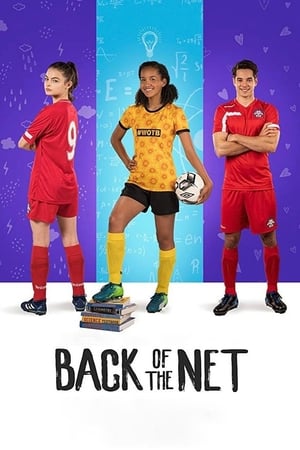 Back of the Net (2019) Hindi Dual Audio 300MB HD Poster Download - Filmyzilla