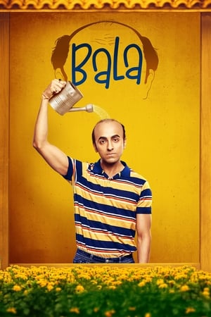 Bala 2019 Hindi Movie [1GB] HD Poster Download - Filmyzilla