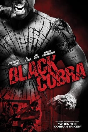 Black Cobra (2012) Hindi Dual Audio 300MB HD Poster Download - Filmyzilla