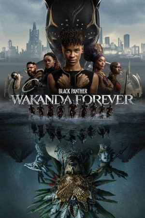 Black Panther: Wakanda Forever 2022 Hindi (ORG) Dual Audio – HD Poster Download - Filmyzilla