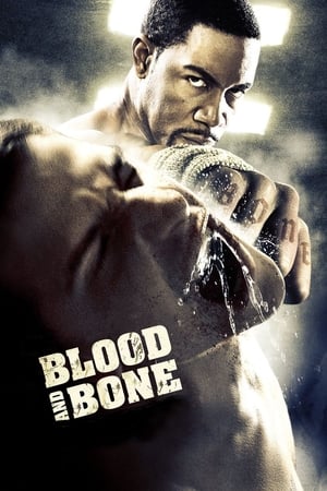 Blood and Bone (2009) Hindi Dual Audio 300MB HD Poster Download - Filmyzilla