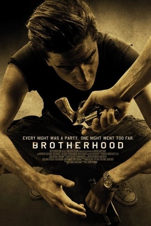 Brotherhood (2010) Hindi Dual Audio – HD Poster Download - Filmyzilla