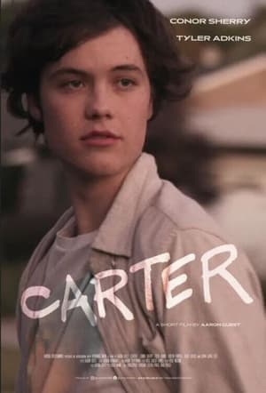 Carter (2022) Hindi Dual Audio – HD Poster Download - Filmyzilla