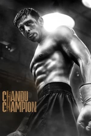 Chandu Champion 2024 Hindi HD Poster Download - Filmyzilla