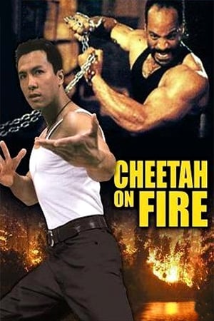 Cheetah on Fire 1992 Hindi Dual Audio [900MB] HD Poster Download - Filmyzilla