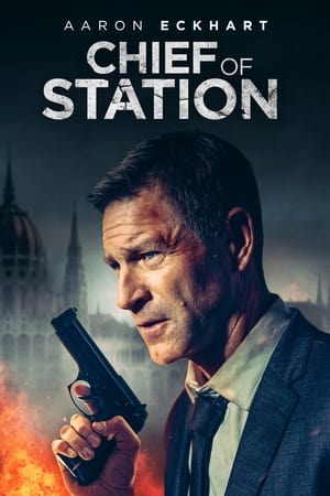 Chief of Station 2024 Hindi Dual Audio – 720p – HD Poster Download - Filmyzilla