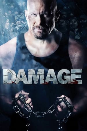 Damage 2009 Hindi Dual Audio [970MB] HD Poster Download - Filmyzilla