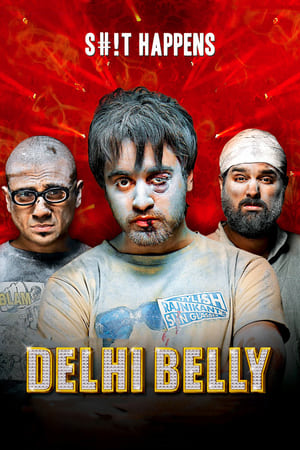 Delhi Belly 2011 Full Movie Download [750MB] HD Poster Download - Filmyzilla
