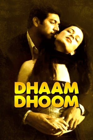 Dhaam Dhoom 2008 Dual Audio [Hindi - Tamil] [1.3GB] HD Poster Download - Filmyzilla