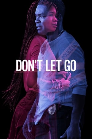 Don’t Let Go (2019) Hindi Dual Audio [890MB] HD Poster Download - Filmyzilla
