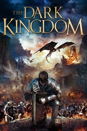 Dragon Kingdom (2018) Hindi Dual Audio 300MB HD Poster Download - Filmyzilla