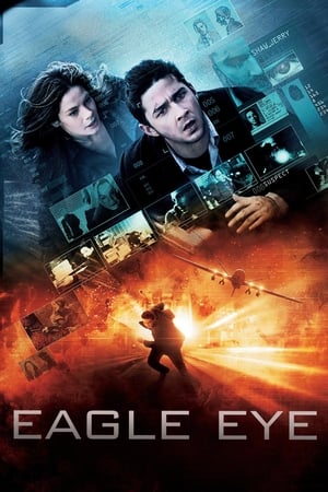 Eagle Eye (2008) Hindi Dual Audio [1.3GB] ESubs HD Poster Download - Filmyzilla