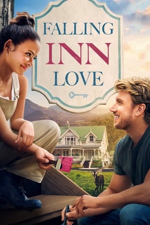 Falling Inn Love (2019) Hindi Dual Audio 300MB HD Poster Download - Filmyzilla