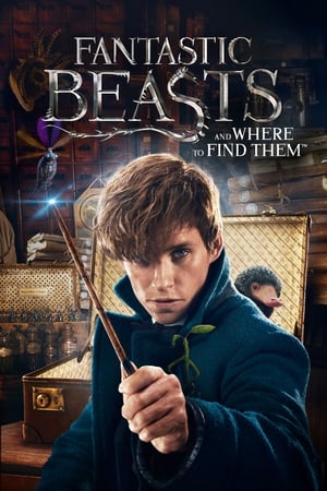 Fantastic Beasts and Where to Find Them 2016 Dual Audio (Hindi) [1.1 GB] HD Poster Download - Filmyzilla