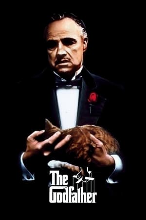 Godfather 2022 Hindi Movie DVDScr – HD Poster Download - Filmyzilla