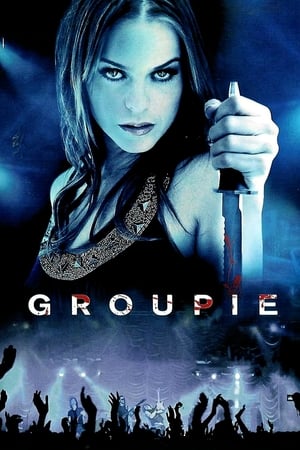 Groupie (2010) Hindi Dual Audio 300MB HD Poster Download - Filmyzilla