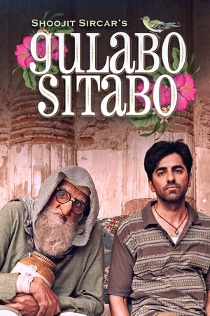 Gulabo Sitabo 2020 Hindi Movie [980MB] HD Poster Download - Filmyzilla