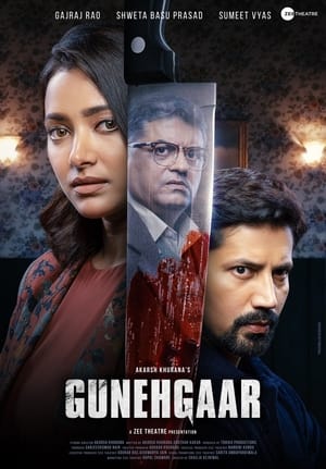 Gunehgaar (2023) Hindi HD Poster Download - Filmyzilla