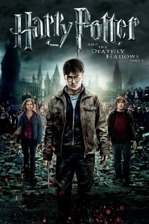Harry Potter and the Deathly Hallows Part 2 (2011) Dual Audio [Hindi-Enlish] [140MB] HD Poster Download - Filmyzilla