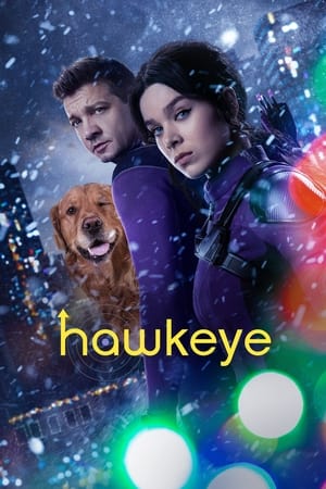 HawkEye (2021) Season 1 Dual Audio Hindi – – [1- 6 Episodes] HD Poster Download - Filmyzilla