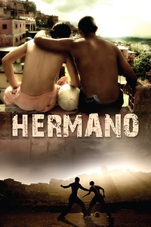 Hermano (2010) Hindi Dual Audio 300MB HD Poster Download - Filmyzilla