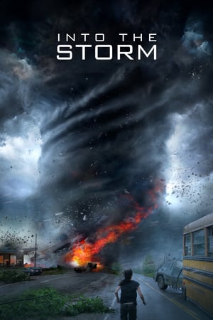 Into the Storm (2014) Hindi Dual Audio 300MB HD Poster Download - Filmyzilla