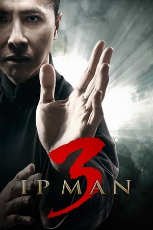 Ip Man 3 (2015) Hindi Dual Audio [900MB] HD Poster Download - Filmyzilla