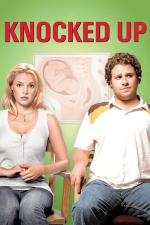 Knocked Up (2007) Hindi Dual Audio 350MB HD Poster Download - Filmyzilla