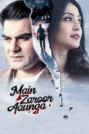 Main Zaroor Aaunga 2019 Hindi Movie - [260MB] HD Poster Download - Filmyzilla