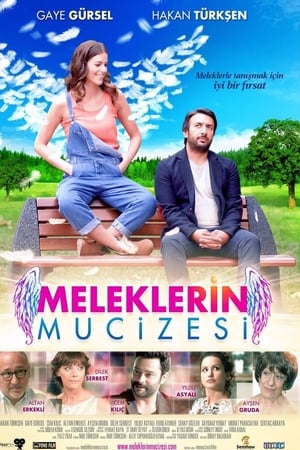 Meleklerin mucizesi (2014) Hindi Dual Audio [600MB] HD Poster Download - Filmyzilla