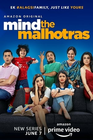 Mind the Malhotras (2019) Season 1 Hindi Web Series[Complete] HD Poster Download - Filmyzilla
