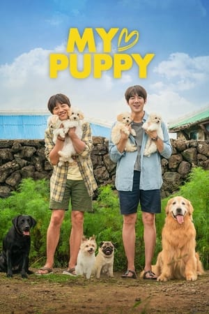 My Heart Puppy (2022) Hindi Dual Audio – HD Poster Download - Filmyzilla
