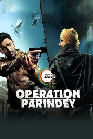 Operation Parindey 2020 Hindi Movie - [200MB] HD Poster Download - Filmyzilla