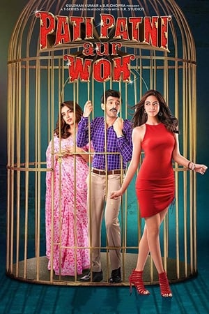 Pati Patni Aur Woh 2019 Hindi Movie [1.2GB] HD Poster Download - Filmyzilla