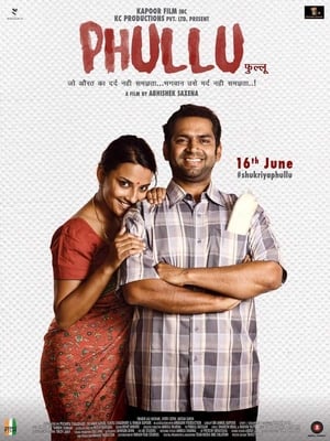 Phullu 2017 Full Movie DTHRip Download - 800MB HD Poster Download - Filmyzilla