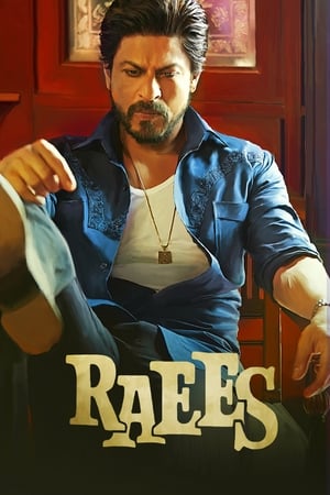 Raees 2017 Full Movie [1.2GB] Download HD Poster Download - Filmyzilla