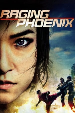 Raging Phoenix (2009) Hindi Dual Audio [1GB] HD Poster Download - Filmyzilla