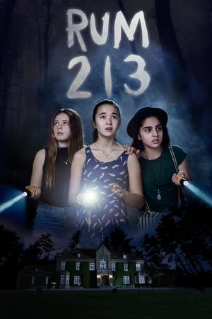 Rum 213 2017 Hindi Dual Audio [800MB] HD Poster Download - Filmyzilla