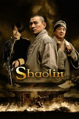 Shaolin (2011) Hindi Dual Audio 400MB HD Poster Download - Filmyzilla