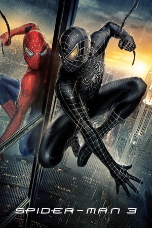 Spider-Man 3 (2007) Hindi Dual Audio 300MB HD Poster Download - Filmyzilla