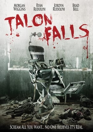 Talon Falls (2017) Hindi Dual Audio 300MB HD Poster Download - Filmyzilla