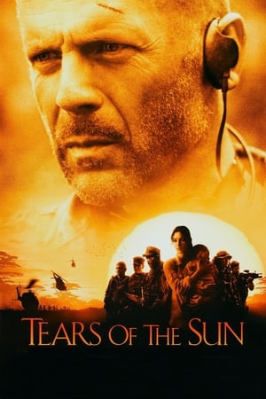 Tears of the Sun 2003 Hindi Dual Audio [970MB] HD Poster Download - Filmyzilla