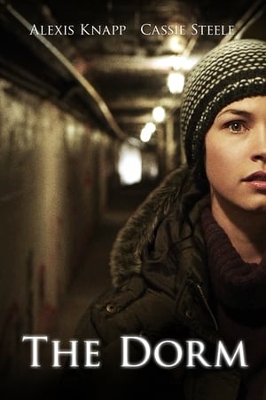 The Dorm 2014 Hindi Dual Audio 250MB HD Poster Download - Filmyzilla