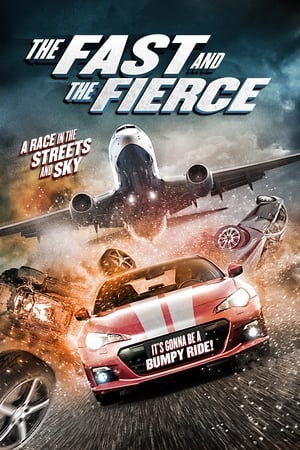 The Fast and the Fierce 2017 Hindi Dual Audio [900MB] HD Poster Download - Filmyzilla