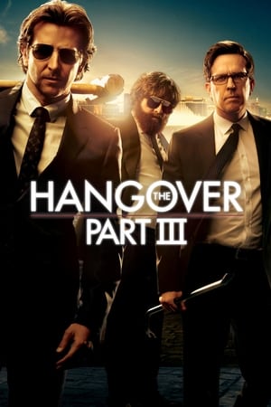 The Hangover Part III (2013) Hindi Dual Audio 300MB HD Poster Download - Filmyzilla