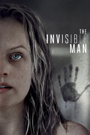 The Invisible Man (2020) Hindi (ORG) Dual Audio [1GB] HD Poster Download - Filmyzilla
