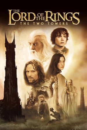 The Lord of the Rings: The Two Towers 2002 Hindi Dual Audio HD Poster Download - Filmyzilla